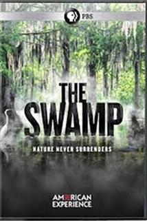Profilový obrázek - The Swamp