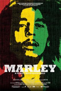 Profilový obrázek - Marley