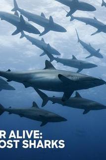 Profilový obrázek - Extinct or Alive: Land of the Lost Sharks