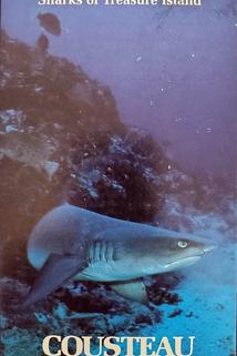 Profilový obrázek - Cocos Island: Sharks of Treasure Island
