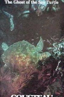 Profilový obrázek - Borneo: The Ghost of the Sea Turtle