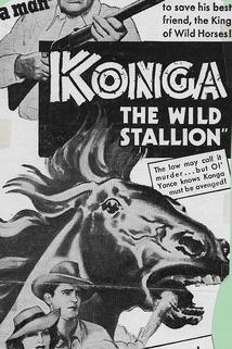 Profilový obrázek - Konga, the Wild Stallion
