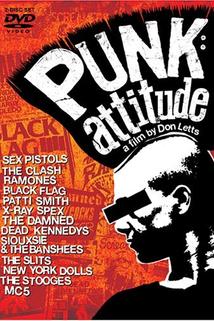 Profilový obrázek - Punk: Attitude