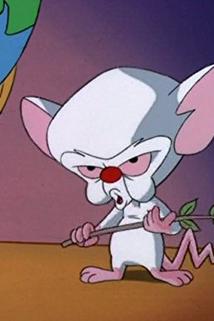 All You Need Is Narf/Pinky's Plan  - All You Need Is Narf/Pinky's Plan