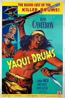 Profilový obrázek - Yaqui Drums