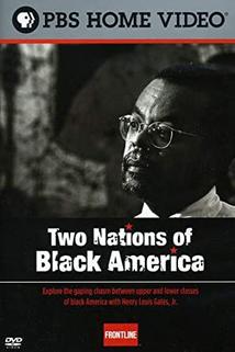 Profilový obrázek - The Two Nations of Black America