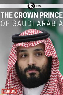 Profilový obrázek - The Crown Prince of Saudi Arabia