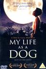 Můj život jako pes (1985)