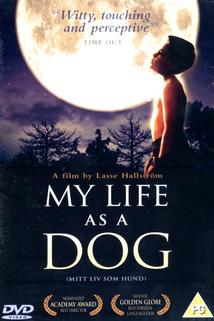 Můj život jako pes  - Mitt liv som hund