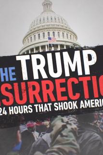 Profilový obrázek - The Trump Insurrection: 24 Hours That Shook America