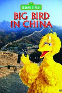 Profilový obrázek - Big Bird in China