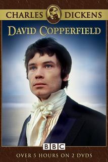 David Copperfield  - David Copperfield