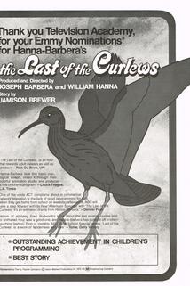 Profilový obrázek - The Last of the Curlews