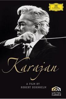 Profilový obrázek - Karajan or Beauty as I See It