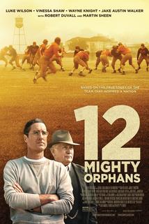 Profilový obrázek - 12 Mighty Orphans