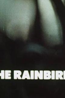 Profilový obrázek - The Rainbirds