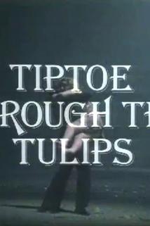 Profilový obrázek - Tiptoe Through the Tulips