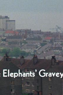 Profilový obrázek - The Elephants' Graveyard