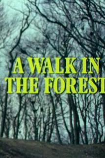 Profilový obrázek - A Walk in the Forest