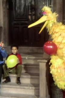 Profilový obrázek - Big Bird discovers balloons