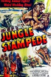 Profilový obrázek - Jungle Stampede