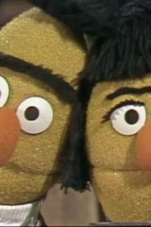 Profilový obrázek - Bert meets Bertha