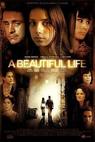 Život je krásný (2008)