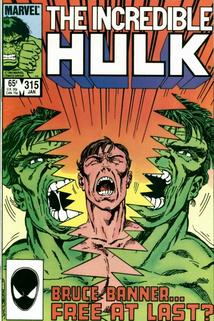 Profilový obrázek - Bruce Banner Is the Hulk