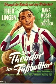 Profilový obrázek - Der Theodor im Fußballtor