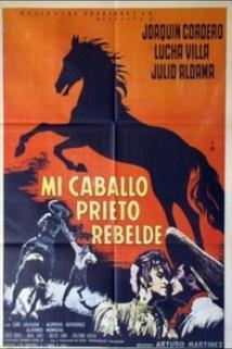 Profilový obrázek - Mi caballo prieto rebelde