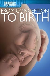 Profilový obrázek - From Conception to Birth