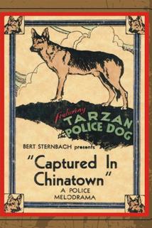 Captured in Chinatown  - Captured in Chinatown