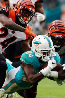 Profilový obrázek - Week 16: Cincinnati Bengals at Miami Dolphins