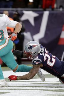 Profilový obrázek - Week 17: Miami Dolphins at New England Patriots