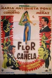 Profilový obrázek - Flor de canela