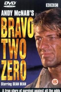Nebezpečná mise  - Bravo Two Zero