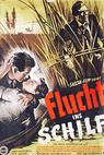 Flucht ins Schilf (1953)
