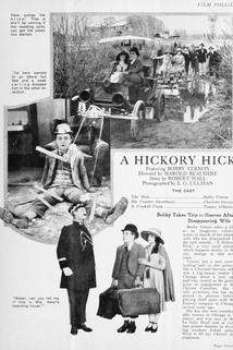 Profilový obrázek - A Hickory Hick