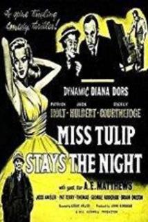 Profilový obrázek - Miss Tulip Stays the Night
