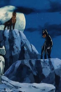 Profilový obrázek - Now! The Journey of Males