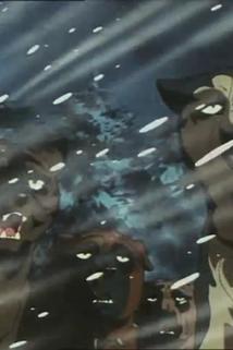 Profilový obrázek - Silver! Go Upon the Journey of a New Leadership!