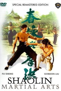 Šaolin: Škola bojových umění  - Hong quan yu yong chun