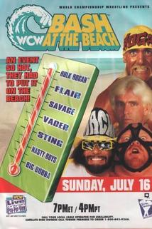 Profilový obrázek - WCW Bash at the Beach