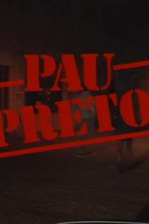 Profilový obrázek - Pau Preto