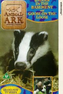 Animal Ark  - Animal Ark