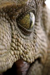 Profilový obrázek - Evolution, Science, and God