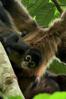 Profilový obrázek - Costa Rica & Panama