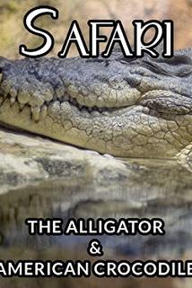 Profilový obrázek - The Alligator & American Crocodile