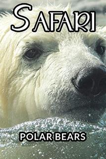 Profilový obrázek - Polar Bears
