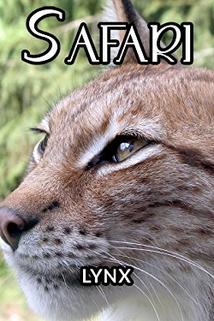 Profilový obrázek - Lynx